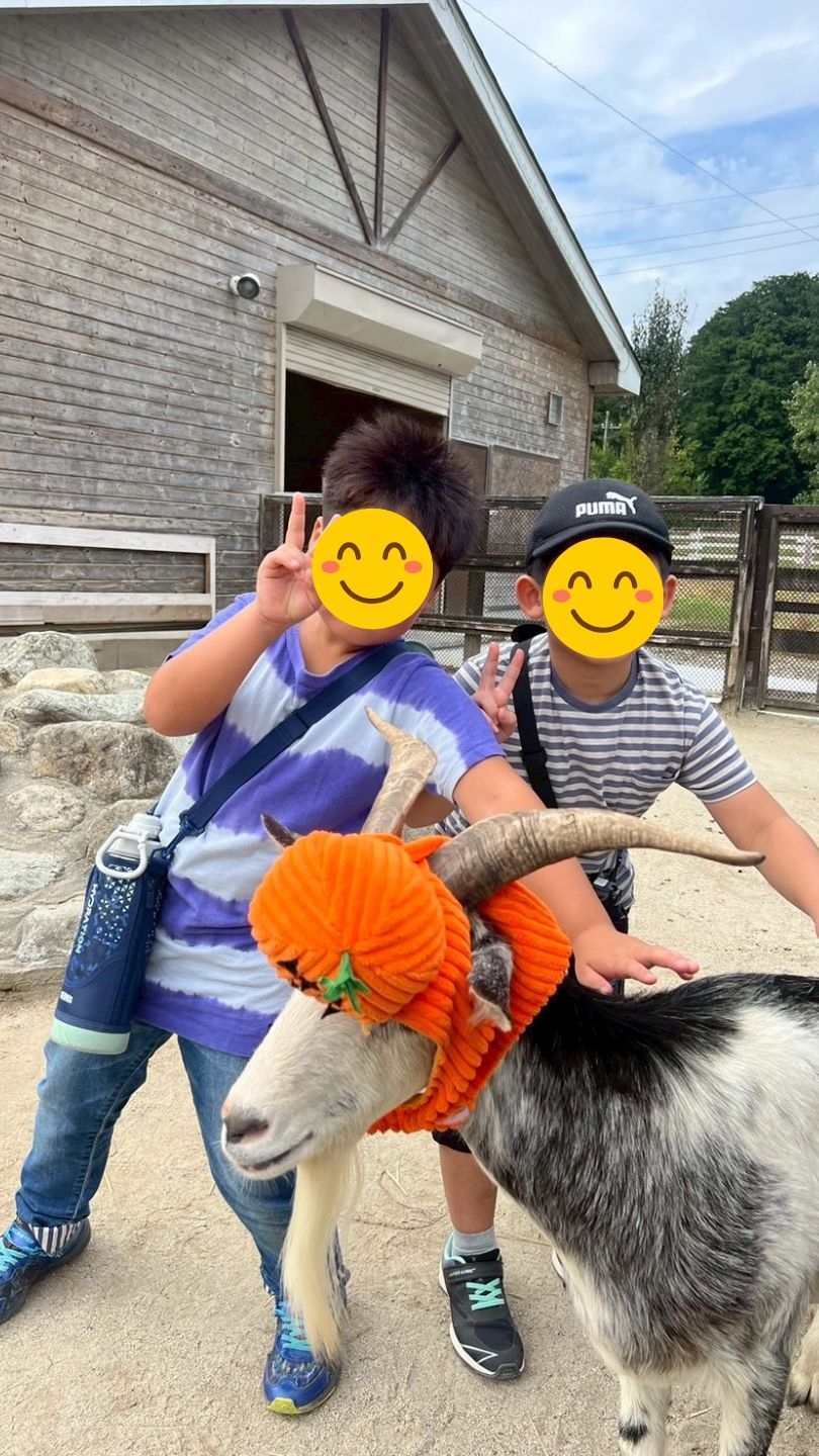 千本松牧場での動物ふれあい体験