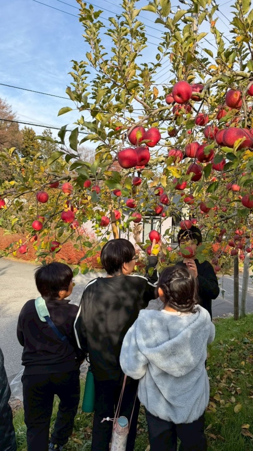 初めてのりんご狩り体験へGO！